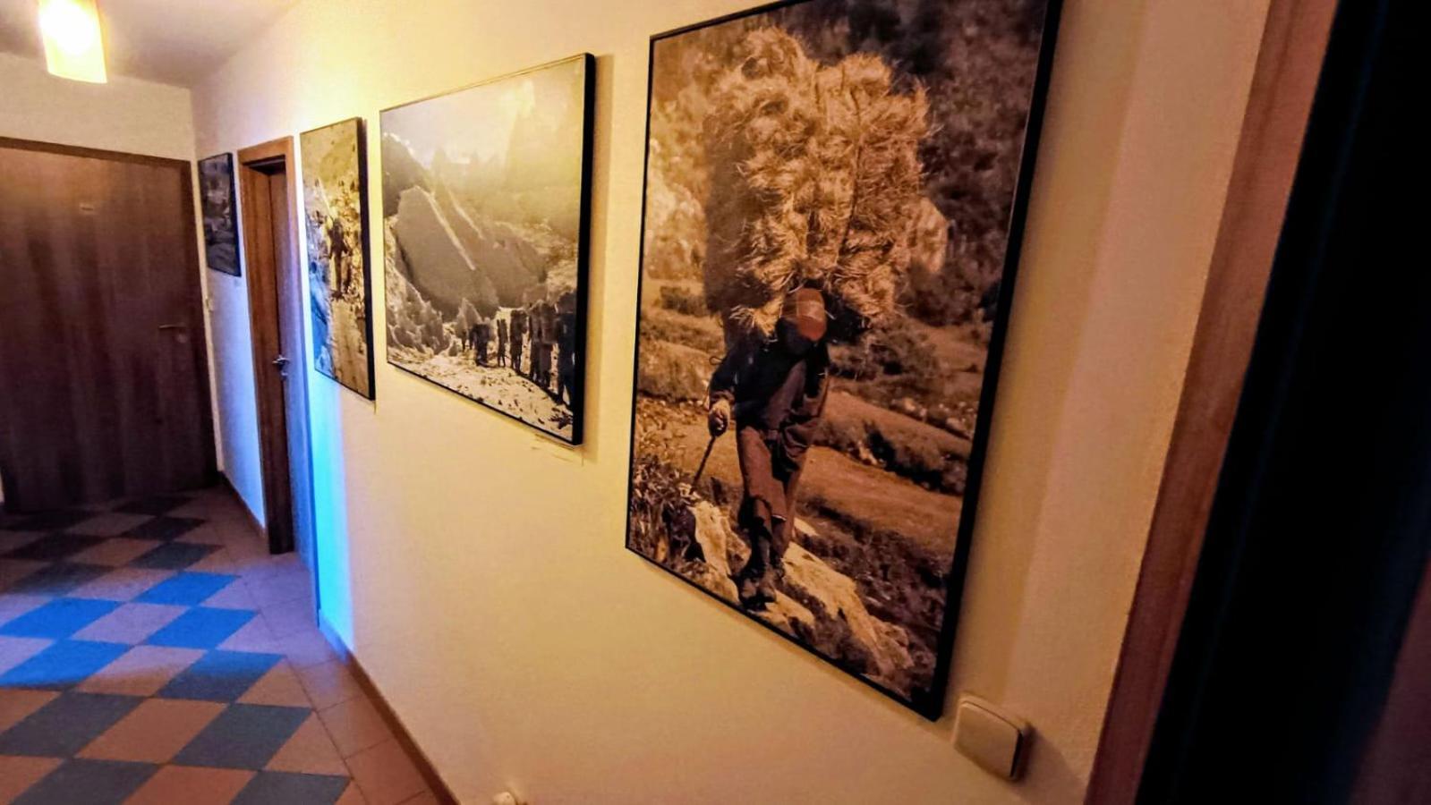Guest House Sherpa Moravska Trebova Exterior photo